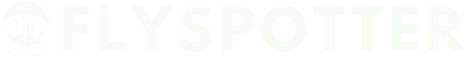 FlySpotter Logo